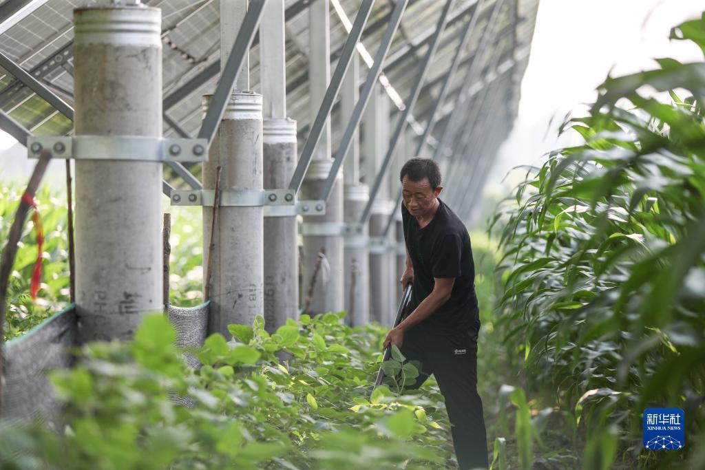 jdb捕鱼试玩